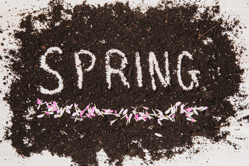 Les tendances Printemps/été 2020
