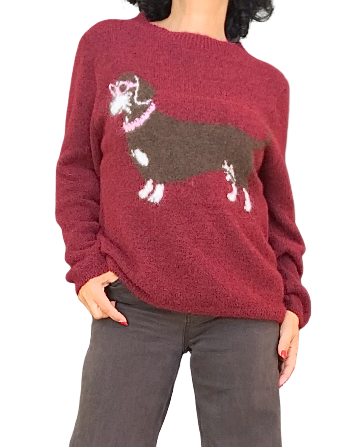 Chandail col rond en tricot laineux bourgogne avec chien saucisse brun devant – vue de face