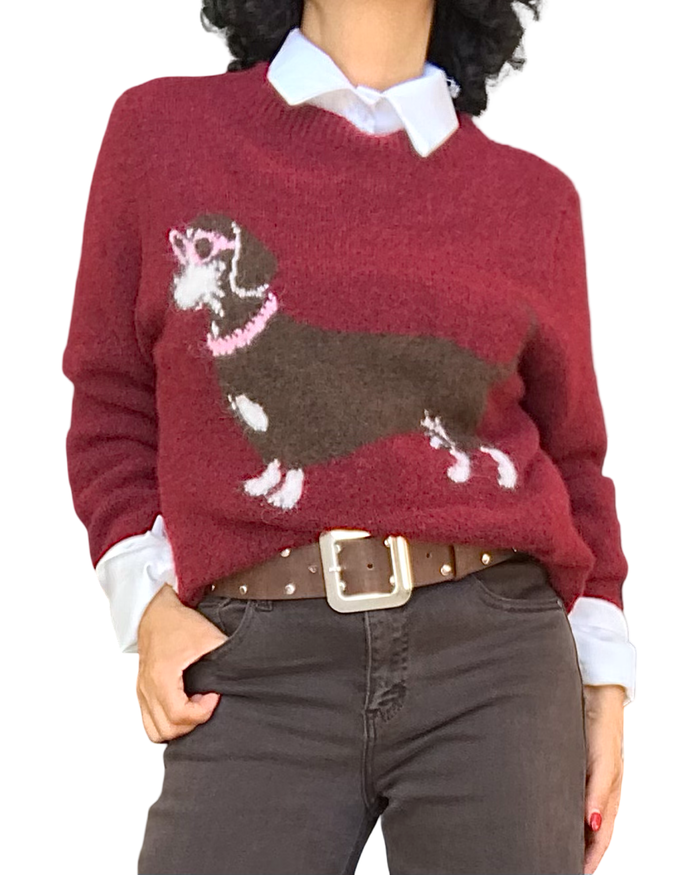 Chandail bourgogne en tricot laineux à chien saucisse brun porté sur une chemise blanche avec ceinture brune